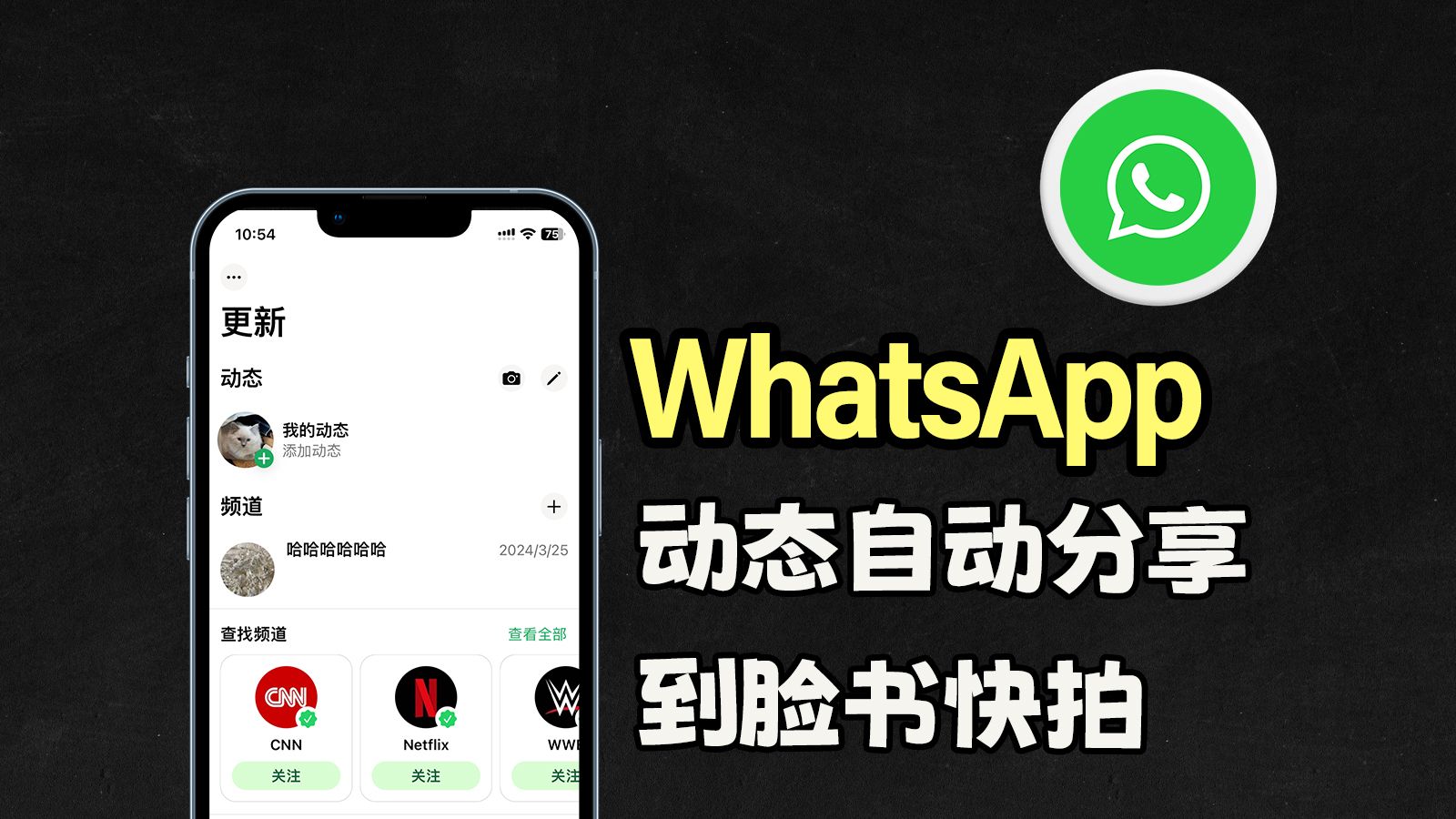 whatsapp是什么_whatsapp怎么创建？_whatsapp